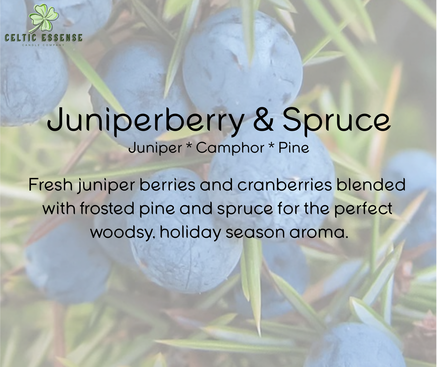 Juniperberry & Spruce