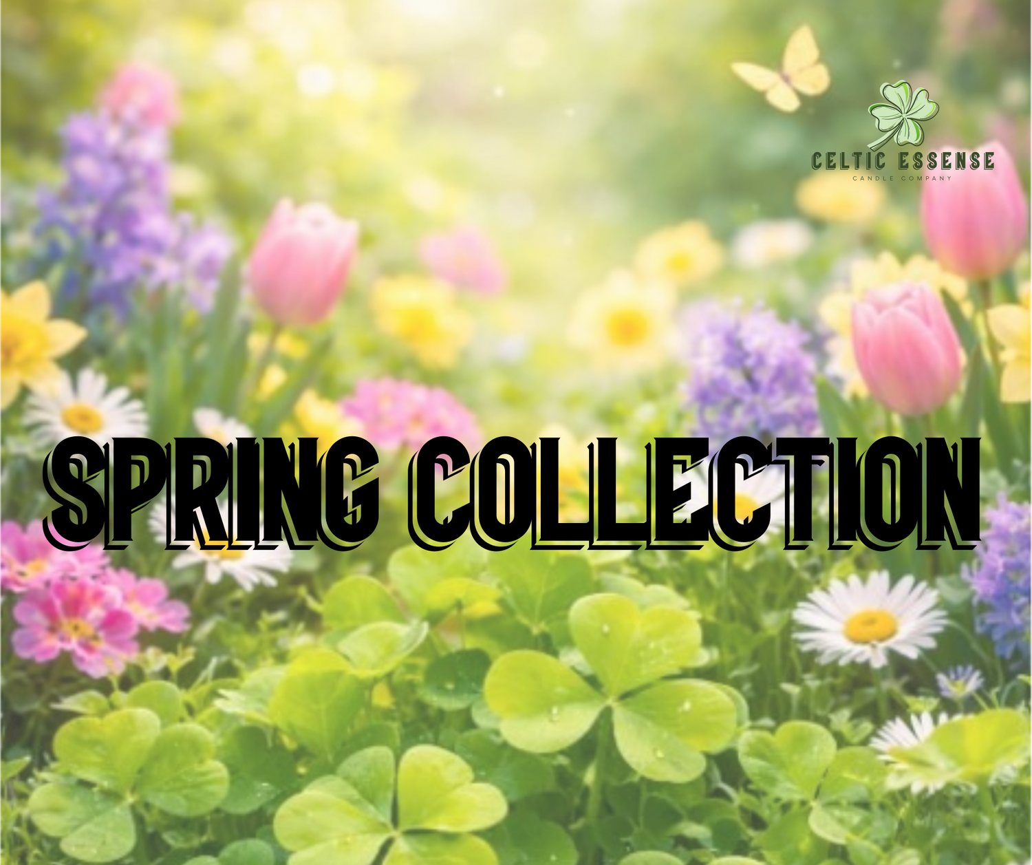 Spring Collection