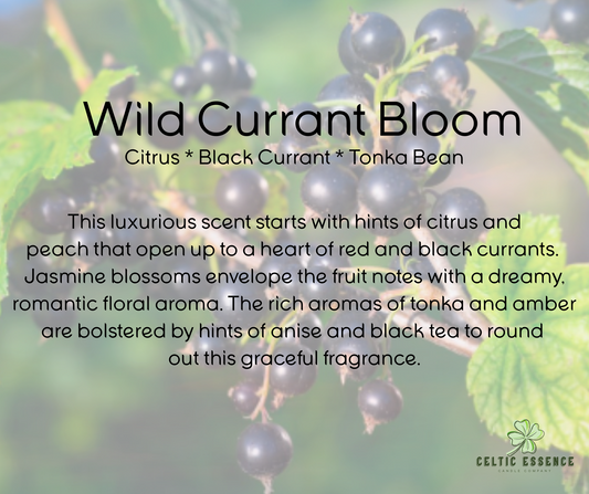 Wild Currant Bloom