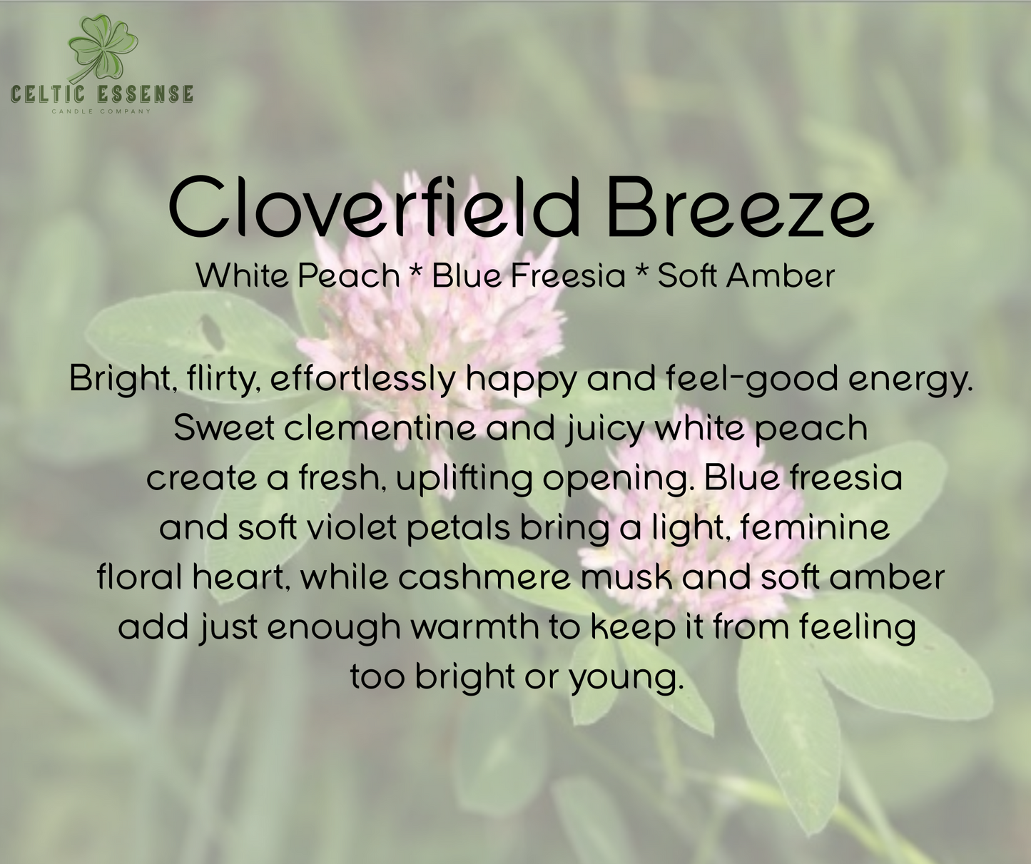 Emerald Coast Orchid